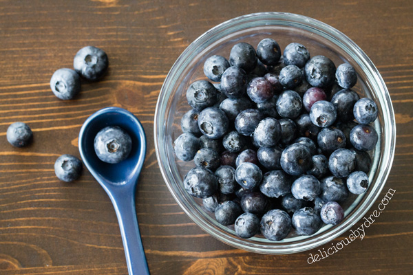 blueberry vanilla chia seed pudding